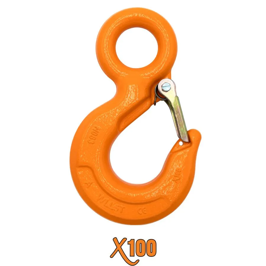 X100® Fixed Eye Hoist Hooks with Latch