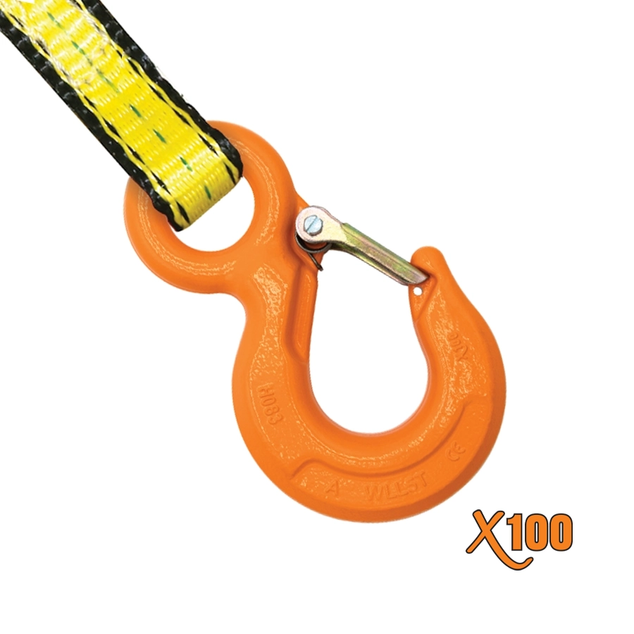 Hoist Hooks with Latch