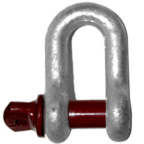 Screw Pin Chain Shackles