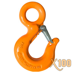X100 Fixed Eye Hoist Hook